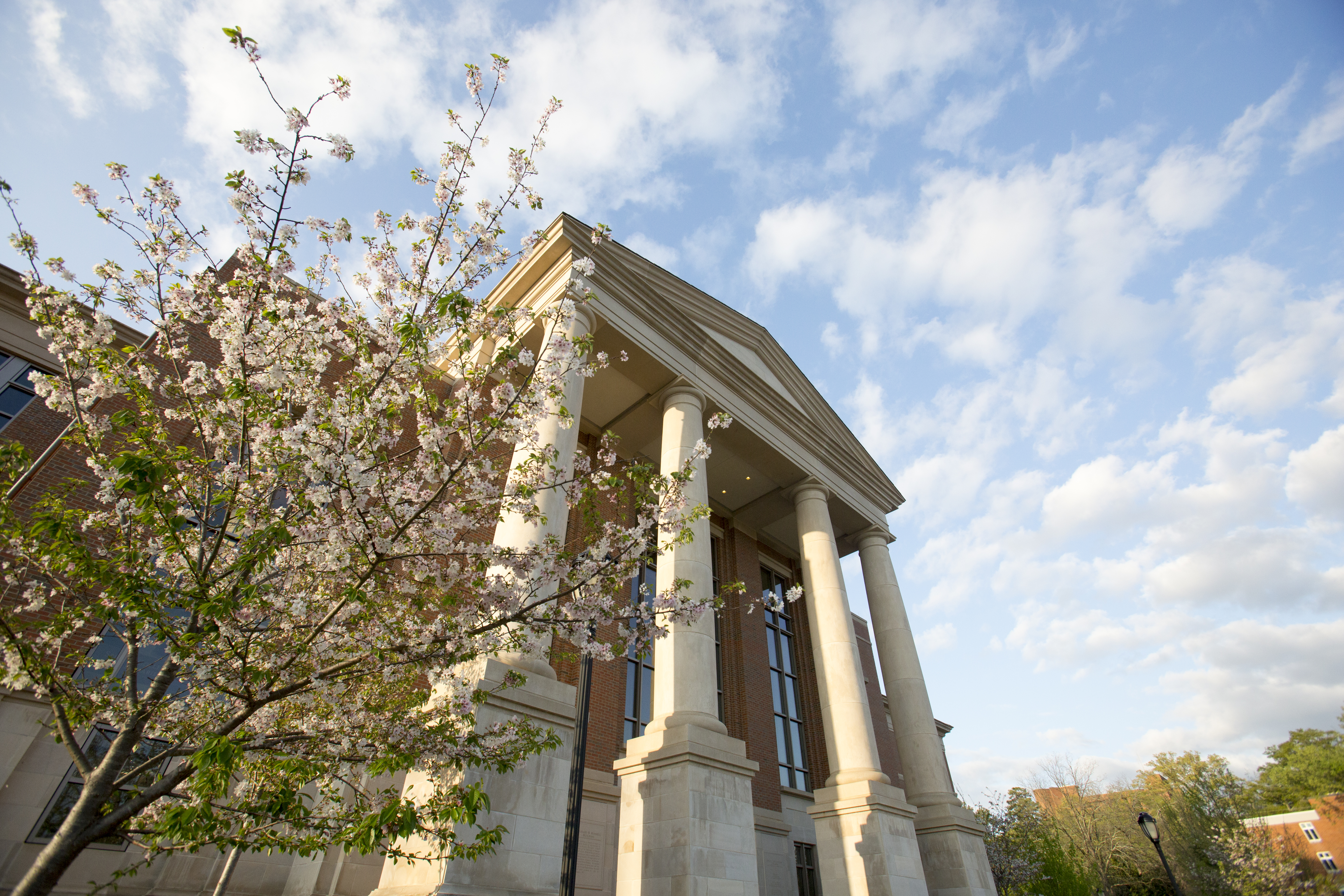 Richard B. Russell Building, Special Collections Libraries