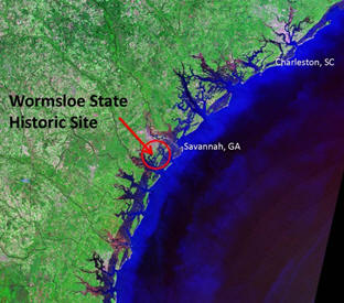 Satellite image of Georgia coast