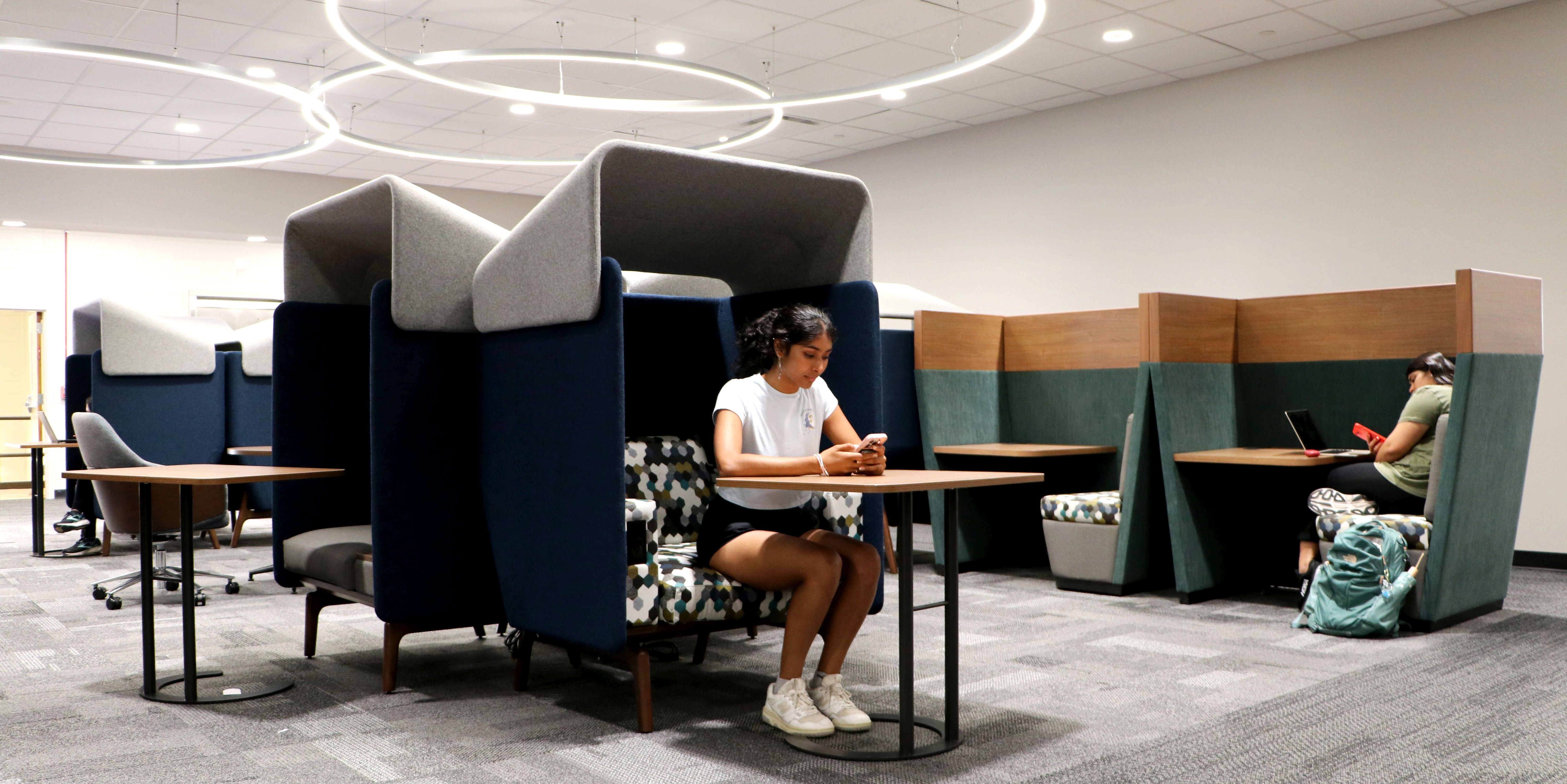 UGA students using the recently renovated study area on the 4th floor of the McBay Science Library.