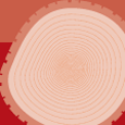 Illustration of the cross-section of a tree that has been cut