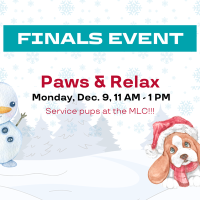 Flyer showcasing the event.